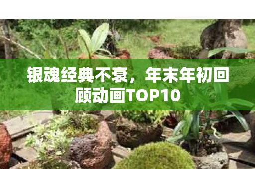 银魂经典不衰，年末年初回顾动画TOP10