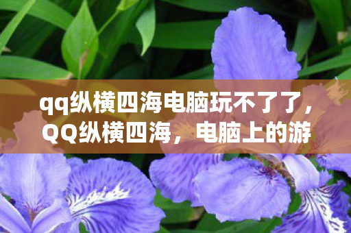 qq纵横四海电脑玩不了了，QQ纵横四海，电脑上的游戏世界探索