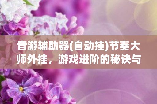 音游辅助器(自动挂)节奏大师外挂，游戏进阶的秘诀与挑战