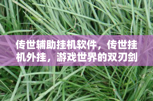 传世辅助挂机软件，传世挂机外挂，游戏世界的双刃剑