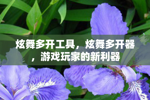 炫舞多开工具，炫舞多开器，游戏玩家的新利器