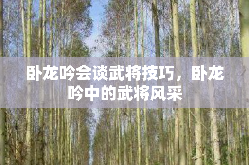 卧龙吟会谈武将技巧，卧龙吟中的武将风采