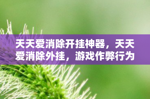 天天爱消除开挂神器，天天爱消除外挂，游戏作弊行为的探讨与警示
