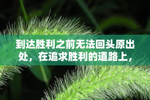 到达胜利之前无法回头原出处，在追求胜利的道路上，无法回头—名台词深度解读