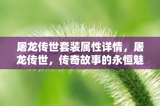 屠龙传世套装属性详情，屠龙传世，传奇故事的永恒魅力