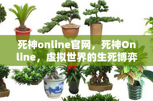 死神online官网，死神Online，虚拟世界的生死博弈