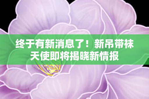 终于有新消息了！新吊带袜天使即将揭晓新情报