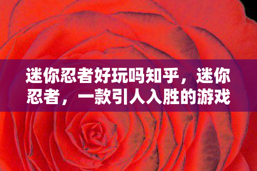 迷你忍者好玩吗知乎，迷你忍者，一款引人入胜的游戏体验