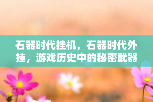 石器时代挂机，石器时代外挂，游戏历史中的秘密武器