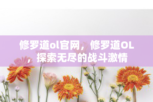 修罗道ol官网，修罗道OL，探索无尽的战斗激情