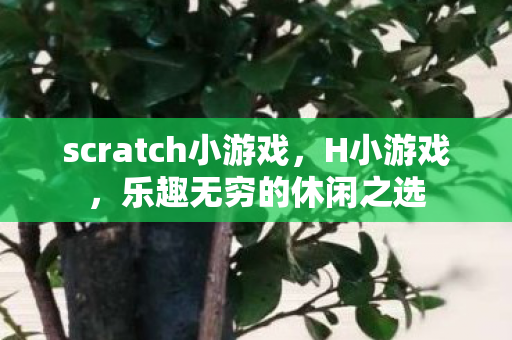 scratch小游戏，H小游戏，乐趣无穷的休闲之选
