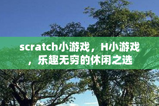 scratch小游戏，H小游戏，乐趣无穷的休闲之选