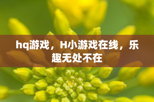 hq游戏，H小游戏在线，乐趣无处不在