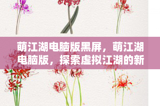 萌江湖电脑版黑屏，萌江湖电脑版，探索虚拟江湖的新体验