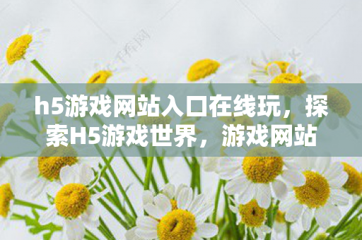 h5游戏网站入口在线玩，探索H5游戏世界，游戏网站入口概览