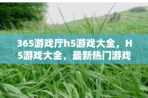 365游戏厅h5游戏大全，H5游戏大全，最新热门游戏推荐与体验指南