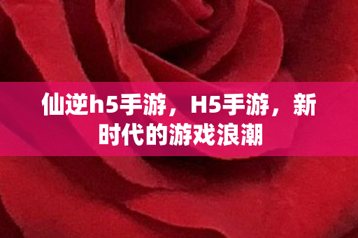 仙逆h5手游，H5手游，新时代的游戏浪潮