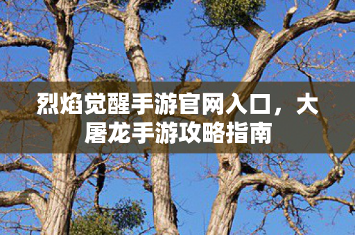 烈焰觉醒手游官网入口，大屠龙手游攻略指南