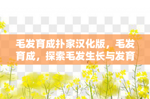 毛发育成扑家汉化版，毛发育成，探索毛发生长与发育的奥秘
