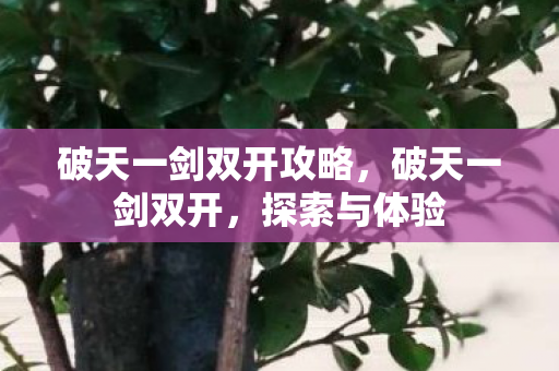 破天一剑双开攻略，破天一剑双开，探索与体验