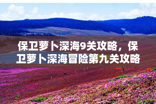 保卫萝卜深海9关攻略，保卫萝卜深海冒险第九关攻略秘籍