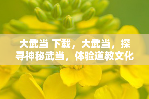 大武当 下载，大武当，探寻神秘武当，体验道教文化之旅—下载指南