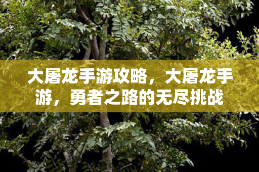大屠龙手游攻略，大屠龙手游，勇者之路的无尽挑战