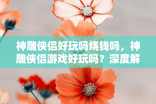 神雕侠侣好玩吗烧钱吗，神雕侠侣游戏好玩吗？深度解析这款游戏的魅力