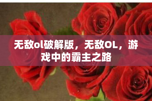 无敌ol破解版，无敌OL，游戏中的霸主之路