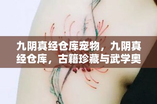 九阴真经仓库宠物，九阴真经仓库，古籍珍藏与武学奥秘的探索