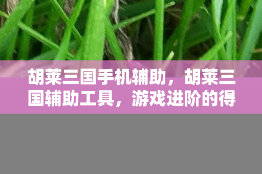 胡莱三国手机辅助，胡莱三国辅助工具，游戏进阶的得力助手