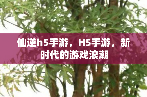 仙逆h5手游，H5手游，新时代的游戏浪潮