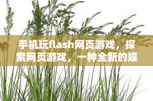 手机玩flash网页游戏，探索网页游戏，一种全新的娱乐方式