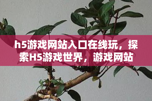 h5游戏网站入口在线玩，探索H5游戏世界，游戏网站入口概览