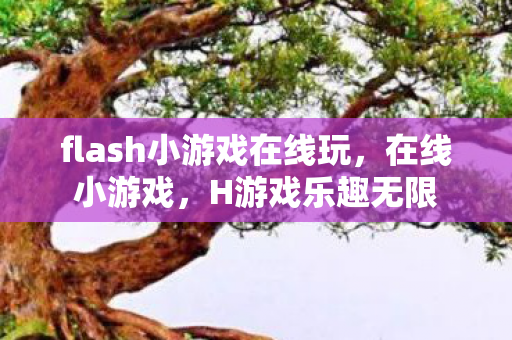 flash小游戏在线玩，在线小游戏，H游戏乐趣无限