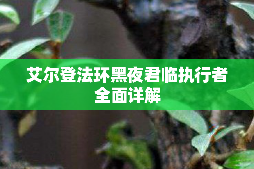 艾尔登法环黑夜君临执行者全面详解