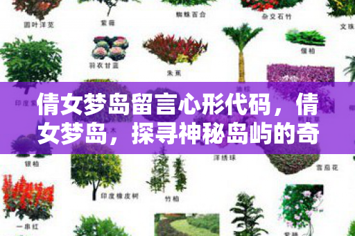倩女梦岛留言心形代码，倩女梦岛，探寻神秘岛屿的奇幻之旅