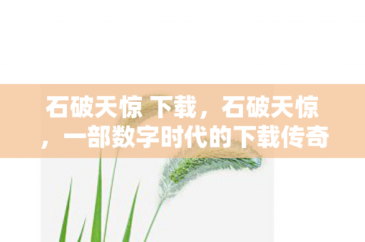石破天惊 下载，石破天惊，一部数字时代的下载传奇