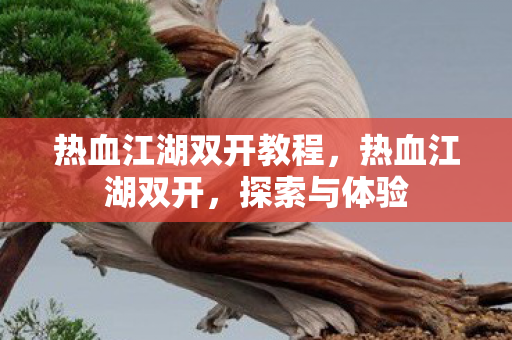 热血江湖双开教程，热血江湖双开，探索与体验