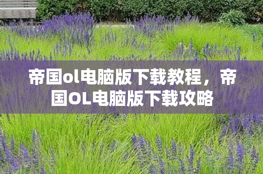 帝国ol电脑版下载教程，帝国OL电脑版下载攻略