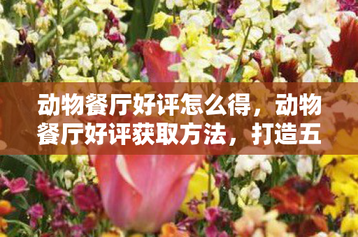 动物餐厅好评怎么得，动物餐厅好评获取方法，打造五星级口碑的策略