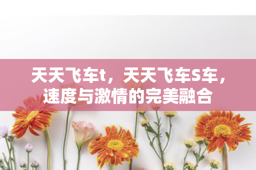 天天飞车t，天天飞车S车，速度与激情的完美融合