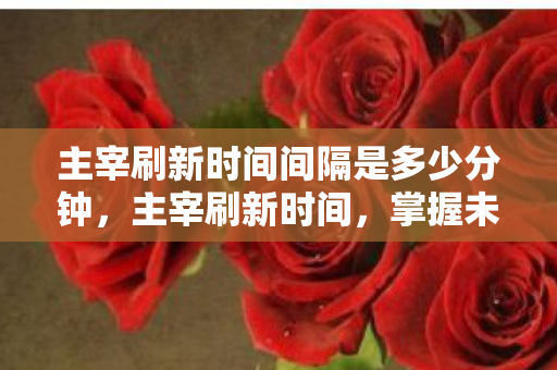 主宰刷新时间间隔是多少分钟，主宰刷新时间，掌握未来，从时间管理开始