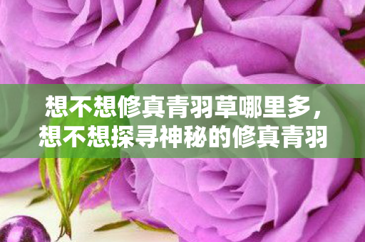 想不想修真青羽草哪里多，想不想探寻神秘的修真青羽草？
