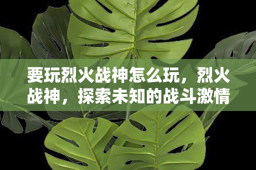 要玩烈火战神怎么玩，烈火战神，探索未知的战斗激情