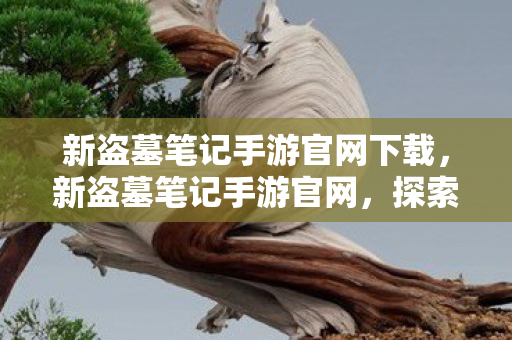 新盗墓笔记手游官网下载，新盗墓笔记手游官网，探索神秘世界的起点