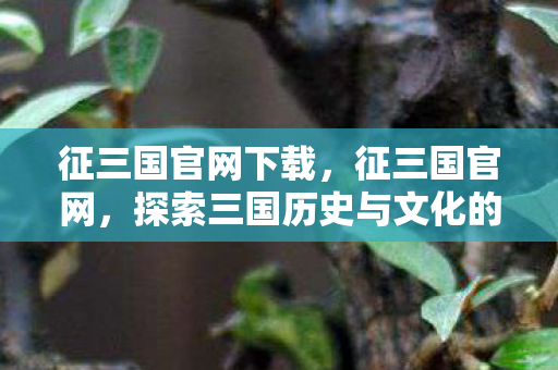 征三国官网下载，征三国官网，探索三国历史与文化的门户