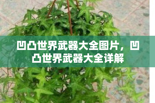 凹凸世界武器大全图片，凹凸世界武器大全详解