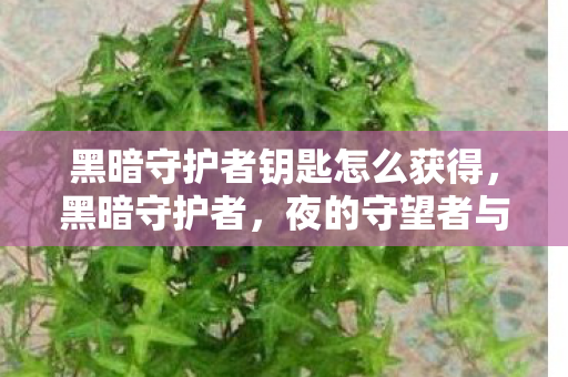 黑暗守护者钥匙怎么获得，黑暗守护者，夜的守望者与世界的隐形卫士