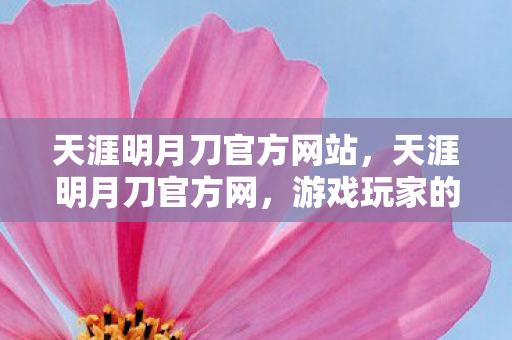 天涯明月刀官方网站，天涯明月刀官方网，游戏玩家的乐园